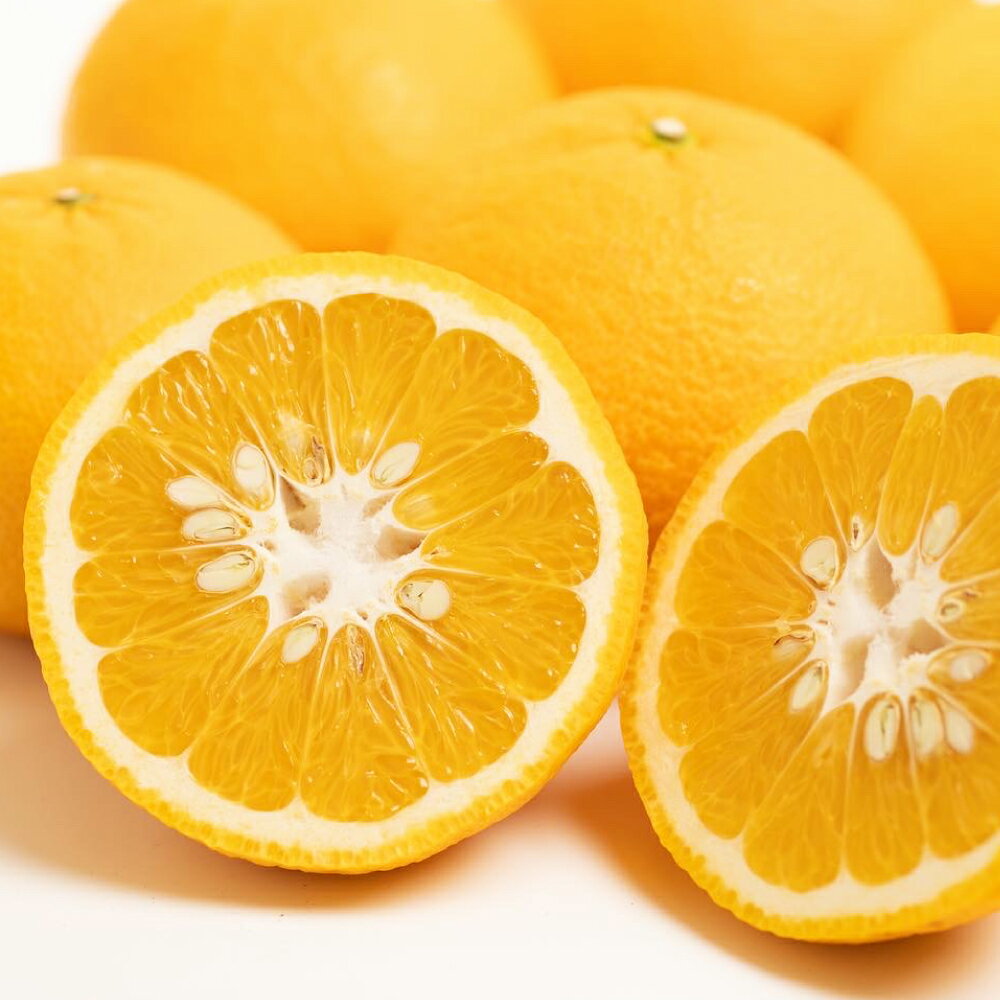 【ふるさと納税】【訳あり】甘夏 約10kg サイズミックス 25～30玉前後 みかん 蜜柑 果物 フルーツ 柑橘 デザート おやつ 家庭用 国産 愛媛県 送料無料【2026年2月下旬～3月下旬発送予定】【えひめの町（超）推し！（愛南町）】(571-1)