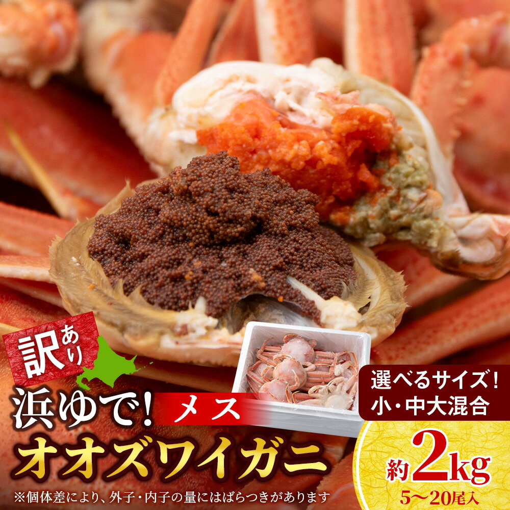 【ふるさと納税】【7営業日以内発送】訳あり オオズワイガニメス (約100-350g前後) 浜ゆで 選べる小〜大サイズ 計2kg 浜ゆで 中～大サイズ5〜9尾入 小サイズ10〜20尾入 選べる発送月 AS174