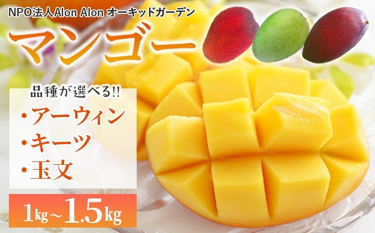 
            Alon Alon マンゴー アーウィン キーツ 玉文 品種が選べます 栽培期間中農薬不使用 1kg～1.5kg【6月中旬～7月下旬頃発送】　農薬不使用 濃厚 果物 フルーツ 完熟 国産 日本 房総 千葉県 富津市 産地直送  夏 季節限定 数量限定 濃厚 甘い さっぱり 希少 貴重 高級 皮 アップルマンゴー キーツマンゴー トロピカル Mango ギフト 贈り物 プレゼント 贈答 記念日
          