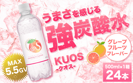 強炭酸水クオス グレープフルーツフレーバー 500ml×24本 / 炭酸 炭酸 炭酸 炭酸 炭酸 炭酸 / 日田市 / 株式会社OTOGINO[AREF010]
