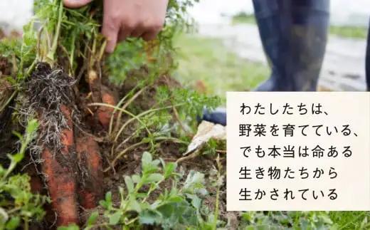 【定期便3ヶ月】農家のおすそわけ（訳アリ）野菜便【 農家 野菜詰め合わせ 野菜 詰め合わせ セット 訳あり 】RT3404