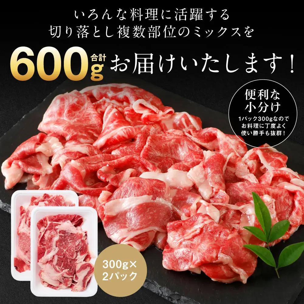 【訳あり】 牛肉 くまもと黒毛和牛 切り落とし 600g（300g×2）【2026年12月発送】 牛肉