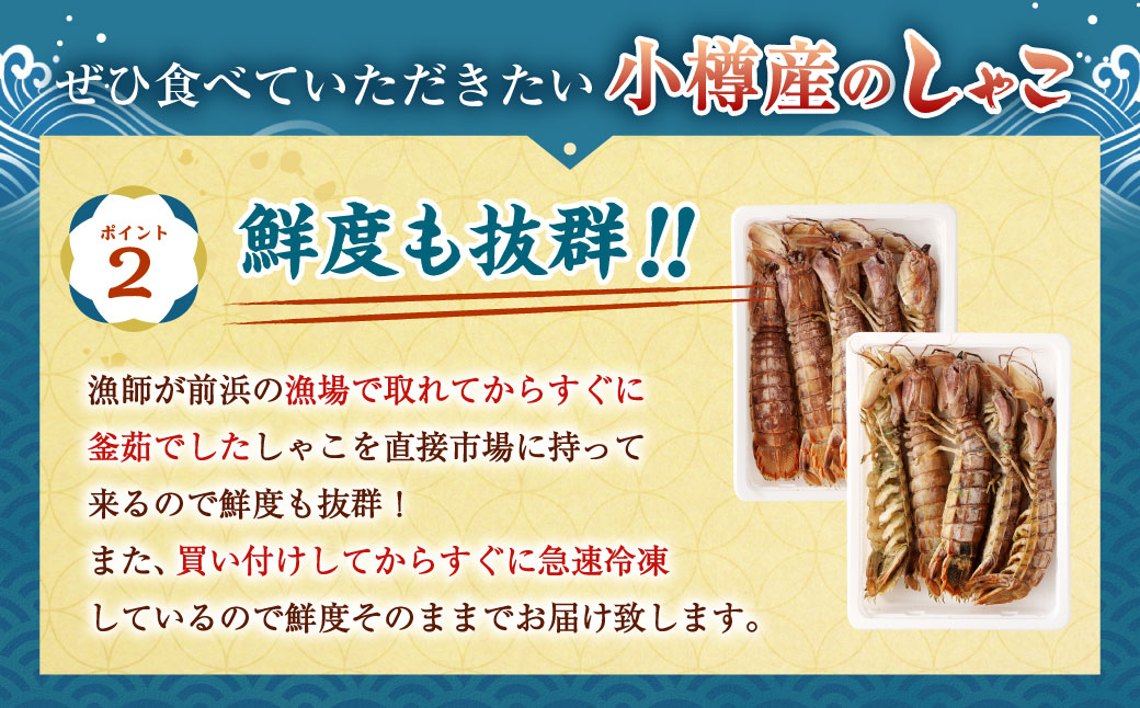 ボイル しゃこ オス・メス 合計10尾 （各5尾）