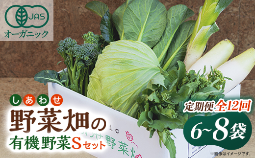 【毎月定期便】しあわせ野菜畑の有機野菜　Sセット　(安心の有機JAS認証　オーガニック野菜)全12回【配送不可地域：離島・北海道・沖縄県・四国・九州】