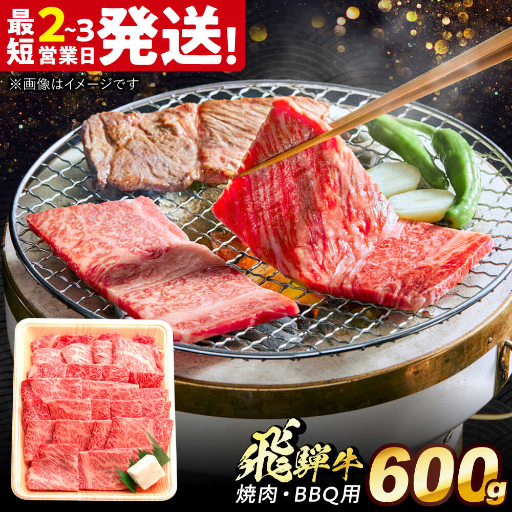 【ふるさと納税】飛騨牛 焼肉 BBQ用 600g 多治見市 / 養老ミート 牛 牛肉 肉 国産 ブランド牛 国産牛 岐阜県 飛騨牛 牛肉 和牛 冷凍 ロース 肩ロース ギフト[THG016]