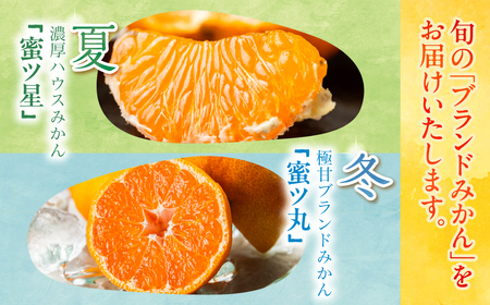 高級みかん 食べ比べ定期便 2回 冬夏 みかん