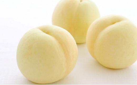 フルーツ 2025年 先行予約 晴れの国 岡山 の フルーツ 定期便 2回コース 桃 ぶどう 岡山県産 国産 フルーツ 果物 ギフト