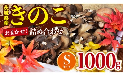 きのこの詰め合わせSサイズ(1000g) 城里町産 舞茸 椎茸 あわび茸 たもぎ茸 はなびら茸 完全室内栽培 栄養豊富 こだわりのキノコ詰め合わせ 直送 新鮮 セット (AU004)