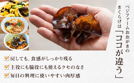 乾燥きくらげ｜きくらげ