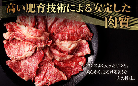 【4回定期便】熊本県産 黒毛和牛 焼肉 カルビ 切り落とし 600g×4回 合計約2.4kg 牛肉 肉
