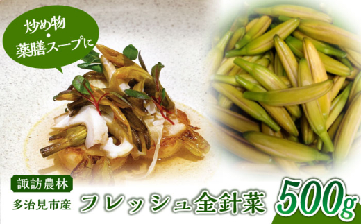 フレッシュ 金針菜 500g 多治見市 / 諏訪農林 国産 中華 料理 [TDO009]