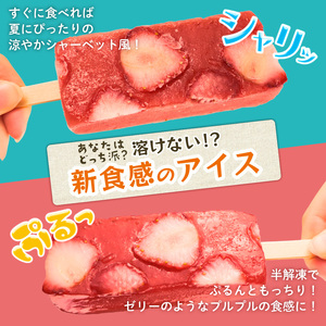 葛アイス 10本入 溶けないアイス アイスバー フルーツアイス アイスキャンディー アイス詰め合わせ アイスセット 低カロリーアイス ヘルシーアイス 本葛使用 F06_02