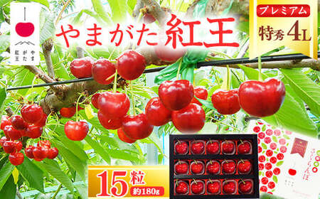 さくらんぼ 「やまがた紅王 プレミアム」4L 特秀品 15粒（約180g）化粧箱 【2025年6月中旬頃〜7月上旬頃発送予定】／ 2025年産 令和7年産 山形産 山形県産 お取り寄せ グルメ フルーツ 果物 果実 くだもの サクランボ 特産 東北 山形  premium　080-A-SW005