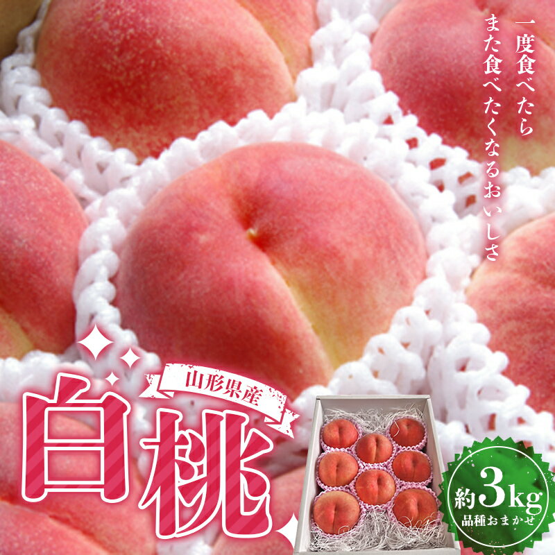 【ふるさと納税】《2026年度8月中旬発送開始》山形県産 厳選白桃 秀品 約3kg（8玉～12玉入り）化粧箱 品種おまかせ もも モモ 桃 デザート フルーツ 果物 くだもの 果実 食品 山形県 FSY-2491