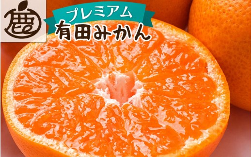 
                  【先行予約】プレミアム 有田みかん（完熟）2.5kg+250g（傷み補償分）※北海道・沖縄・離島配送不可 / みかん ミカン 蜜柑 フルーツ 果物 柑橘 有田みかん 有田【ikd005E】
                