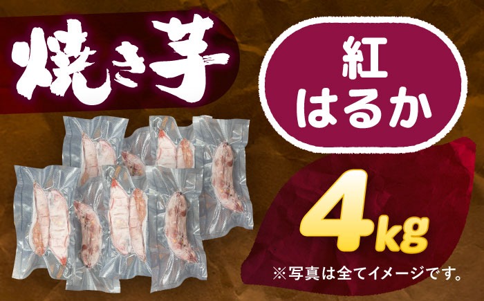 選べる品種/ 焼き芋 紅はるか 4kg (8〜16本) さつまいも 焼きいも おやつ 愛西市 / 就労継続B型事業所ヤシの木[AEDG008]