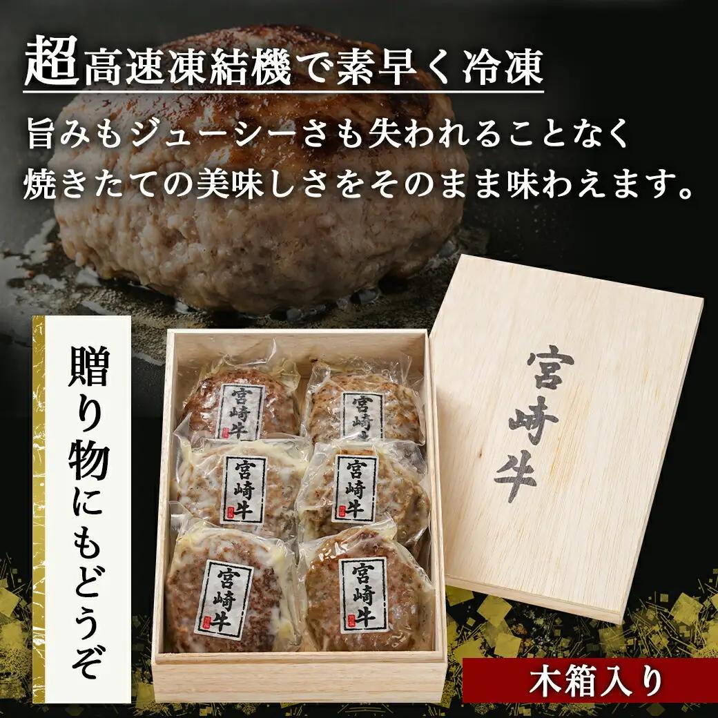 加熱済み☆宮崎牛ハンバーグ6個〔14-8405〕_(都城市)都城産 宮崎牛 ハンバーグ 湯せん 贈り物 ギフト