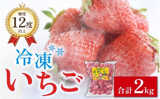 冷凍 いちご農園のブランド苺 2kg 500gx4袋｜ あきひめ 冷凍いちご 冷凍フルーツ 果物 青果 フルーツ デザート スイーツ 苺 いちご イチゴ 糖度 ギフト 贈り物 ブランド 国産 福井県 