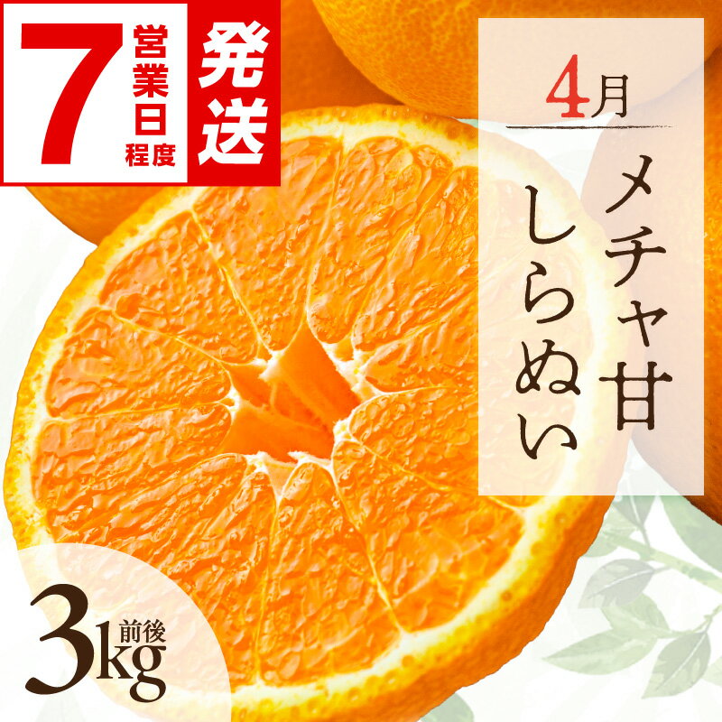 【ふるさと納税】〈 ご入金確認から7営業日程度で発送！ 〉4月の御浜柑橘 メチャ甘しらぬい 3kg前後 │ 不知火 みかん 光センサー選果 国産 柑橘 フルーツ 果物 旬 食品 産地直送 期間限定