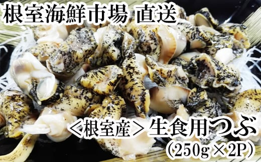 G-28040【年内配送可】  根室海鮮市場＜直送＞【北海道根室産】生食用灯台つぶ(ボイル済)250g×2P(計500g)