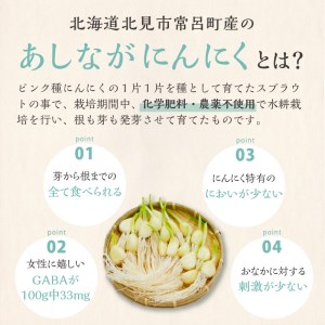  【予約：2026年1月上旬から順次発送】【訳あり】あしながにんにく 60g×2袋 ( あしながにんにく にんにく ガーリック 訳あり 訳アリ 北海道 )【143-0003-2026】