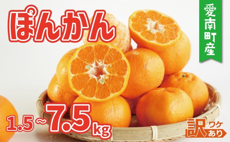 
                  訳あり ポンカン 1.5kg 4kg 7.5kg 5000円 7000円 10000円 ぽんかん みかん mikan 蜜柑 ミカン 産地直送 国産 農家直送 期間限定 数量限定 特産品 ゼリー ジュース アイス 等に 人気 甘い フルーツ 果物 柑橘 ビタミン 健康 美味しい おいしい ジューシー 小玉 含む 規格外 サイズ ミックス 傷み補償 500g ミッチーのおみかん畑 愛南町 愛媛県
                