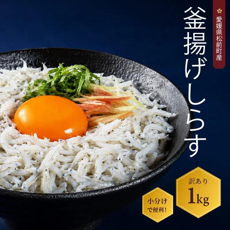 しらす 1kg  訳あり 釜揚げ  |  訳ありしらす 不揃いシラス 国産しらす 冷凍シラス 釜揚げしらす シラス丼 海の幸 愛媛県産シラス しらす シラス 釜揚げしらす 惣菜 弁当 簡単調理 ごはんのお供 加工品 海の幸 しらす丼 グルメ 食品 魚介 小魚 魚 鮮魚 海鮮 シラス 卵 たまご 訳あり商品 愛媛県 松前町【AIS001】