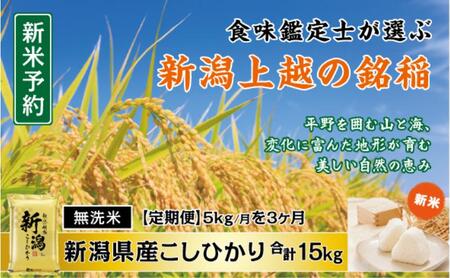 令和7年産 食味鑑定士厳選 新潟県産こしひかり 無洗米 5kg 3か月定期便 上越市 米 コメ コシヒカリ