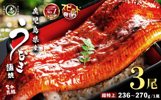 【志布志市制20周年記念】【10営業日以内に発送】【数量限定】鹿児島県産うなぎ蒲焼 名水慈鰻 超特上 3尾(1尾あたり236~270g)＜計750g以上＞ うなぎ 鰻 ウナギ 3尾 国産 蒲焼 かばやき 冷凍 真空 真空パック 無頭 うな重 ひつまぶし タレ 山椒 b2-049