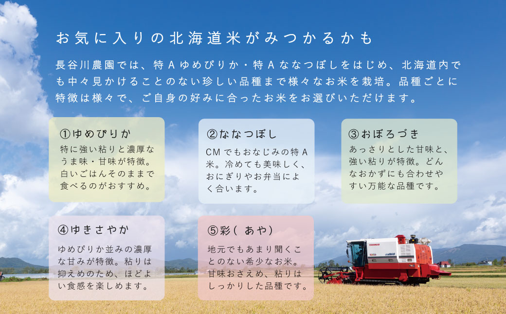 【令和6年産新米先行予約】令和6年産 特Aランク ゆめぴりか 5kg 5kg以上 北海道米 北海道産 当麻町 長谷川農園 北海道 特A米 定期便アリ【U-029】