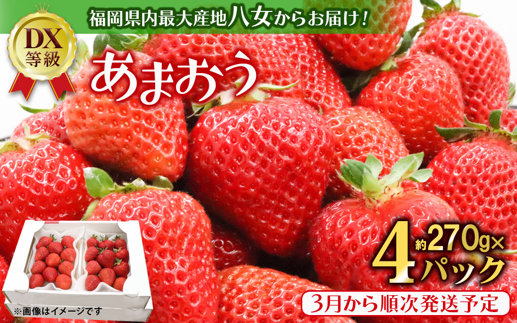 
            【2025年3月配送開始】福岡・博多名物ブランドいちご「あまおう」 DX（デラックス）4パック 合計約1,080g＜配送不可：北海道・沖縄・離島＞
          