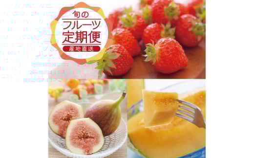 【3回定期便】農家直送 旬のフルーツ定期便2026 (いちご、庄内メロン、いちじく) SE0464