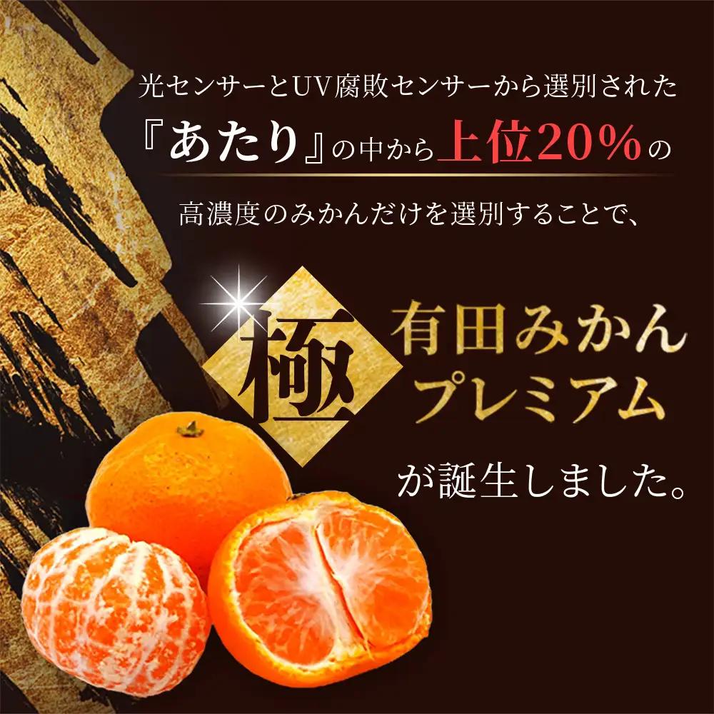 みかん 極 有田みかんプレミアム 約5kg【nuk155G】