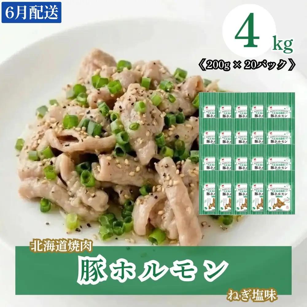 豚ホルモン ねぎ塩味 4kg 小分け【2027年6月配送】
