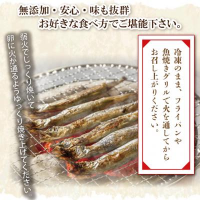 ふるさと納税 大洗町 カラフトシシャモ雄雌食べ比べ4kgセット |  | 03
