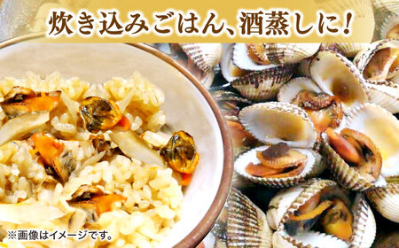 大根島の幻の貝！中海産 赤貝(サルボウガイ)&nbsp;1kg 島根県松江市/道の駅本庄企業組合[ALCW001]