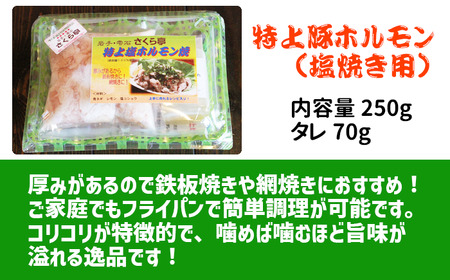 特上豚ホルモン 焼き用250g タレ付き【さくら亭】/ ホルモン鍋 豚肉 ホルモン