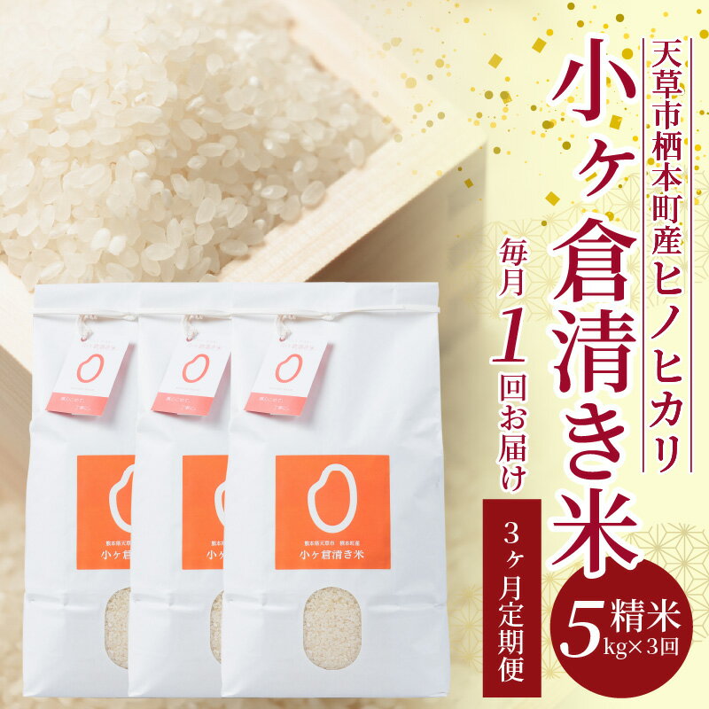 【ふるさと納税】米 定期便 ヒノヒカリ 小ヶ倉清き米 5kg 3ヶ月 精米 白米 ごはん おにぎり おべんとう 米作り 冷めても弾力 甘味 熊本県 天草 栖本町 お取り寄せ 食品 九州 故郷の味 常温 送料無料