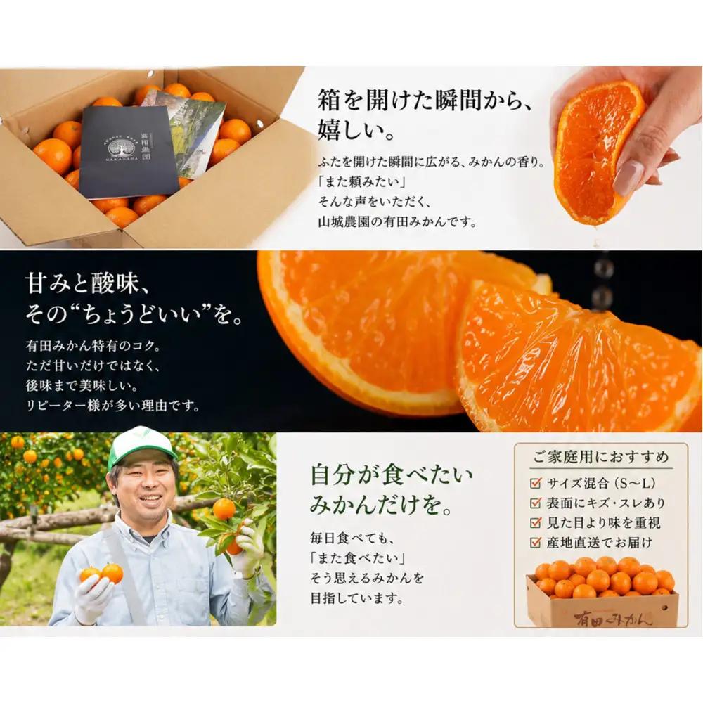 山城農園 和歌山県産 有田みかん 5kg 混サイズ 人気No.1 みかん