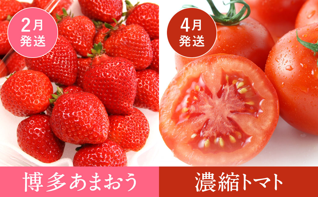 【福岡県産 特産品 年4回定期便】うまもぐ厳選 野菜果物セットA