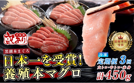 訳あり まぐろ マグロ 本鮪 黒潮本まぐろ 赤身 中トロ 大トロ 定期便 3回 計450g × 3回 刺身 さしみ 最優秀賞 全国養殖クロマグロ品評会 受賞 魚 魚介類 海鮮 柵 サク 冷凍 お取り寄せ 産地直送 ギフト 贈答  高知県 大月町