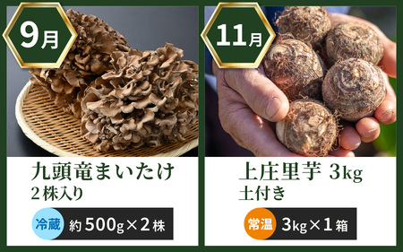 【越前おおの季節の恵み定期便　6回コース】　Cコース（奇数月にお届け）