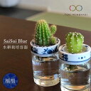 【ふるさと納税】【美濃焼】SaiSui Blue(福福)【大東亜窯業】【TOKI MINOYAKI返礼品】≪土岐市≫ 鉢 プランター インテリア [MAG005]