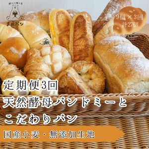 パン 定期便 天然酵母パンドミーとこだわりパン（３回）【R-14】
