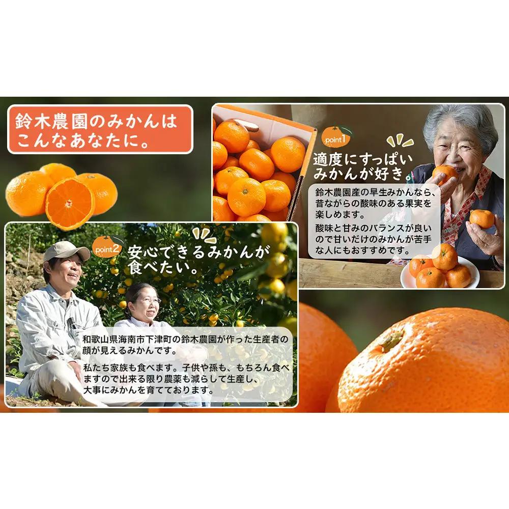【定期便4か月】みかん 5kg 4回 お届け ご家庭用混合サイズ 早生・蔵出しみかん