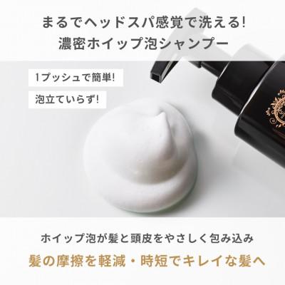 ふるさと納税 富士吉田市 【毎月定期便】ナナコスター ダメージヘアケアセット 美容室仕様　全12回 |  | 03