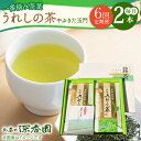 【ふるさと納税】【6回定期便】一番摘み茶葉使用 うれしの茶 2本入（やぶきた 玉門 100g×2本） /お茶の深香園[UAF008] 茶 お茶 緑茶 茶葉