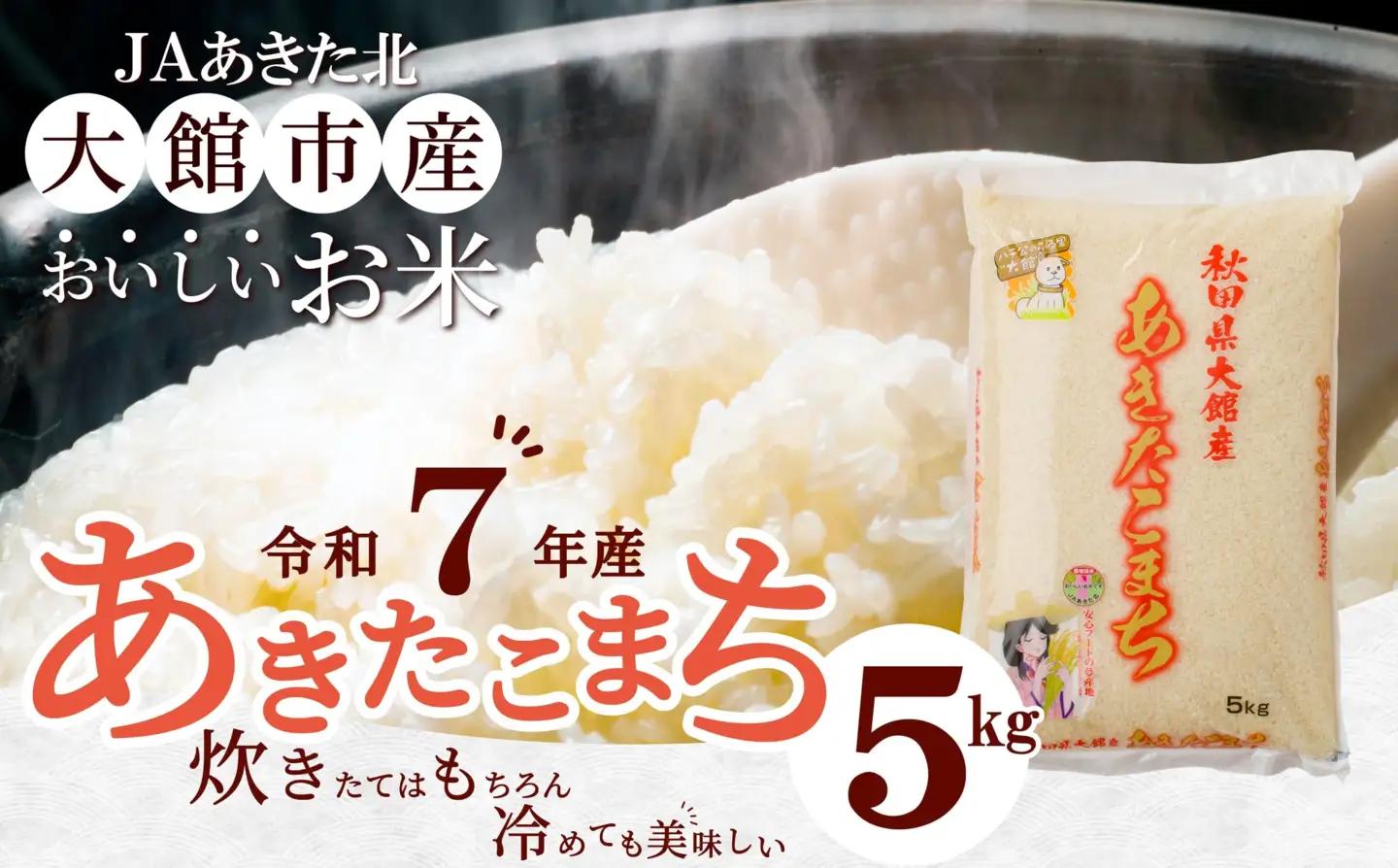 【令和7年産】秋田県大館産あきたこまち5kg　50P126001【JAあきた北精米センター】