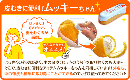 はっさく 皮むきに便利なムッキーちゃん付き 約5kg ときわオンライン【先行予約】