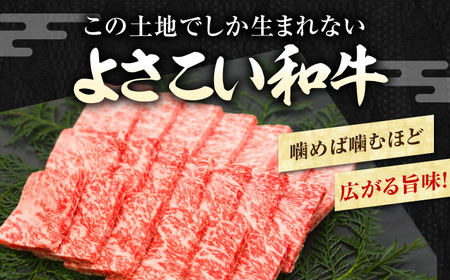 簡単調理!お肉の詰め合わせセット(計　約4.7kg)